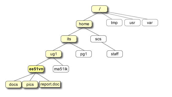 The Linux file structure